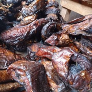 Asa fish